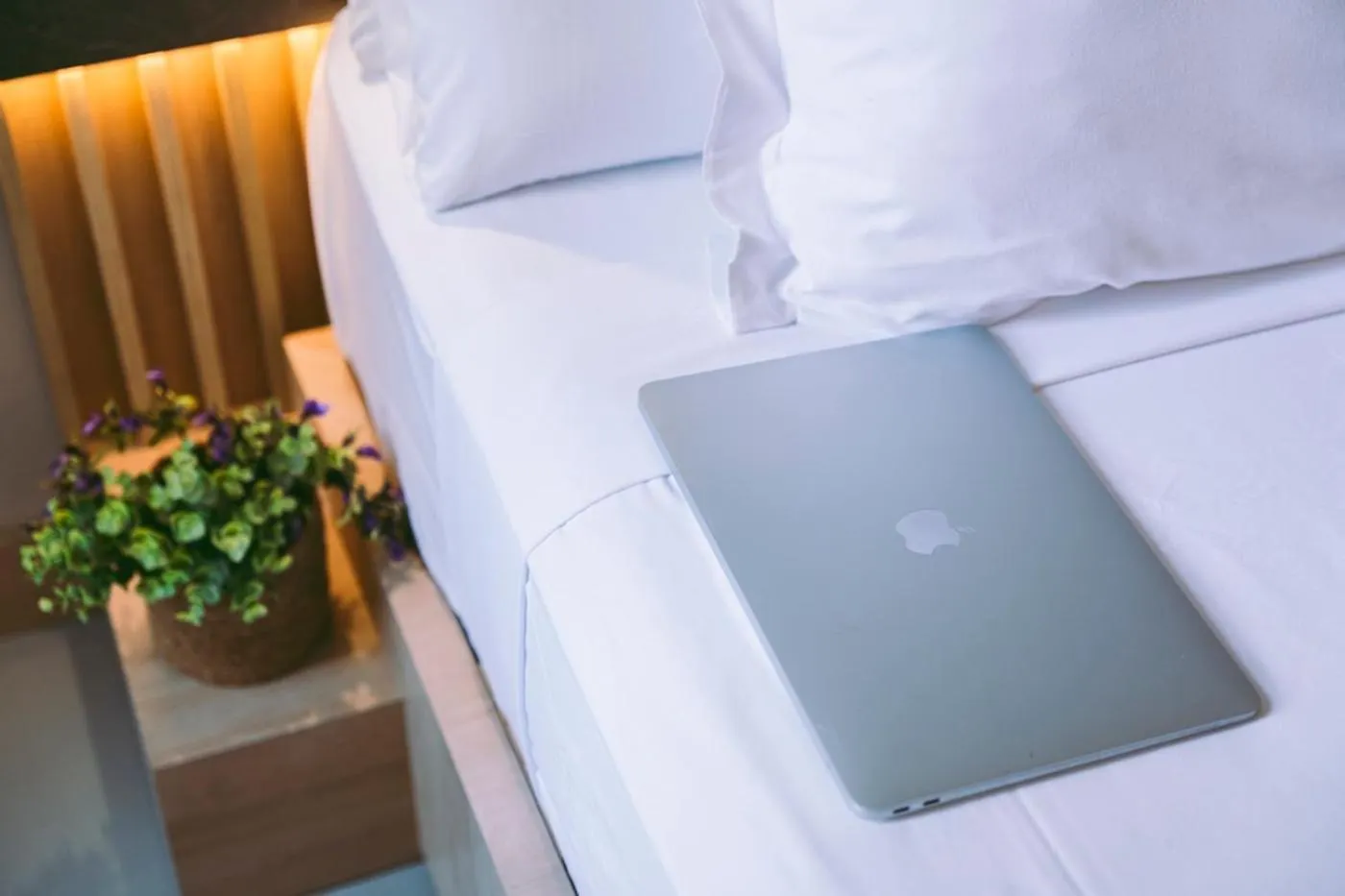**  Hotel Casa Gardenia Barcelona Spain